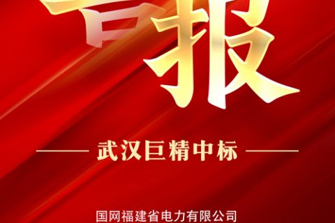 热烈祝贺利来国际中标国网福建省电力有限公司2022年第一次非电网零星物资框架竞争性谈判采购项目