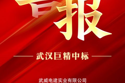 热烈祝贺利来国际中标武威电建实业有限公司2022年第四批物资类竞争性谈判项目