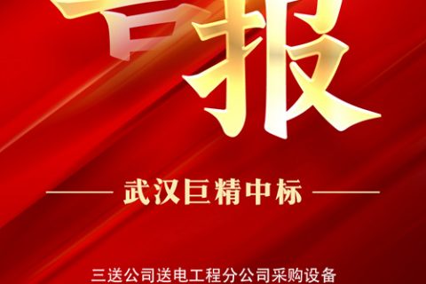 热烈祝贺利来国际中标三送公司送电工程分公司采购装备