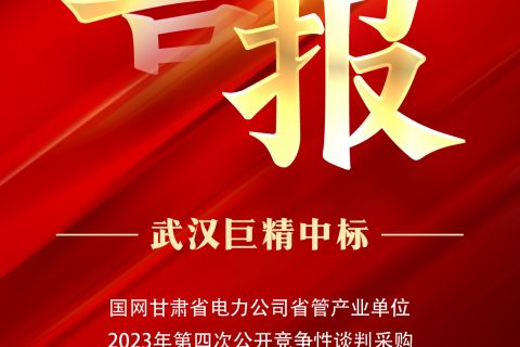 热烈祝贺利来国际中标国网甘肃省电力公司省管工业单位2023年第四次果真竞争性谈判采购（张掖金源物资项目）