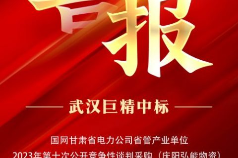 热烈祝贺利来国际中标国网甘肃省电力公司省管工业单位2023年第十次果真竞争性谈判采购（庆阳弘能物资）